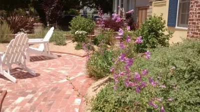 Back to Natives - Landscape Design in Santa Ana, CA