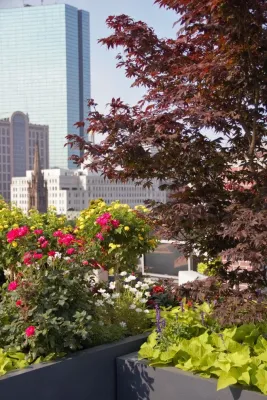 Perennial Gardens LLC - Landscape Design in Boston, MA