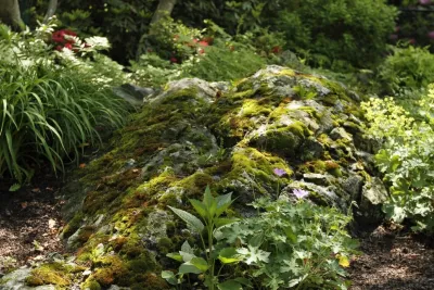 Perennial Gardens LLC - Landscape Design in Boston, MA