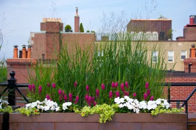 Perennial Gardens LLC - Landscape Design in Boston, MA