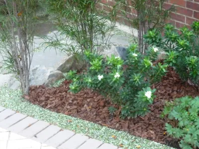 Permascape Designs - Landscape Design in Port Washington, NY