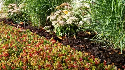 Permascape Designs - Landscape Design in Port Washington, NY