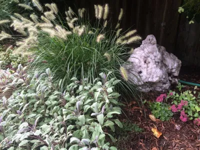 Perpetual Bloom Gardening Services, LLC - Garden Remodeling in Portland, ME