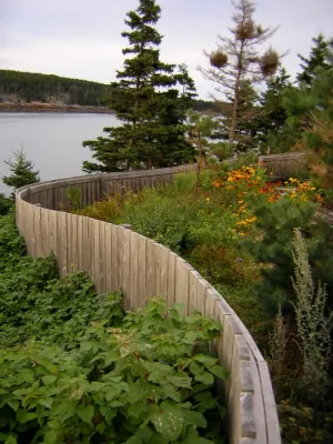 Peter Burke Landscape Architecture - Patio Design & Installation in Portland, ME