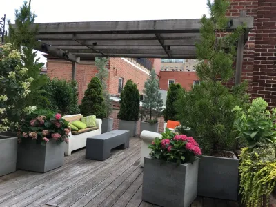 Decks design and planting — Landscape Design project by Petit Jardin En Ville in Philadelphia