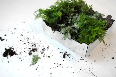 Outdoor Furniture - Shift — Landscape Design project by Petit Jardin En Ville