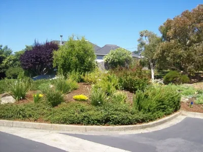 Phil Gray Landscape Design - Deck Building & Repair in Dixon, CA