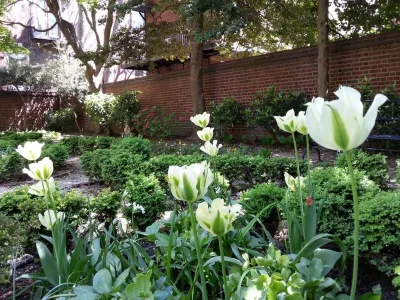 Philadelphia Garden, Inc. - Landscape Maintenance in Philadelphia, PA