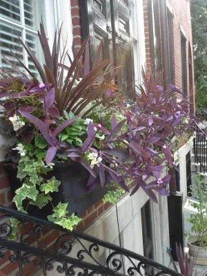 Philadelphia Garden, Inc. - Landscape Maintenance in Philadelphia, PA