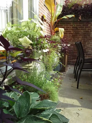 Philadelphia Garden, Inc. - Landscape Maintenance in Philadelphia, PA