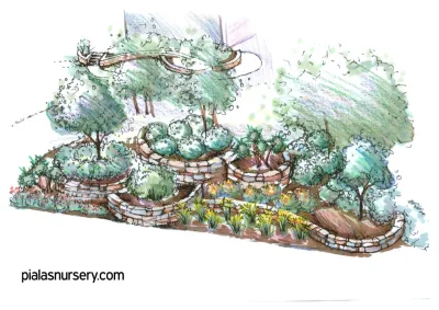 Landscape Plans & Renderings — Landscape Design project by Piala's Nursery & Garden Shop Inc