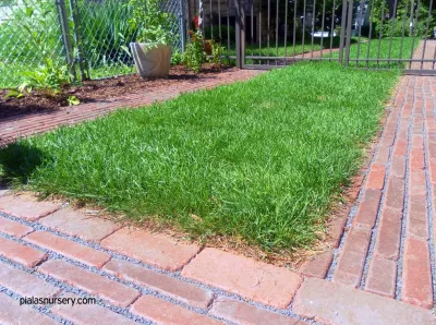 Piala's Nursery & Garden Shop Inc - Garden Remodeling in Waukesha, WI