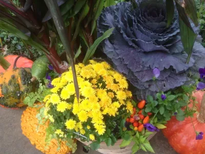 Fall and Winter containers — Landscape Design project by Pierce Hill Design, Ltd. in Bedford