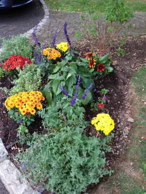 Seasonal Plantings — Landscape Design project by Pierce Hill Design, Ltd. in Pleasantville
