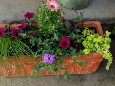 Hot color containers by Pierce Hill Design, Ltd.