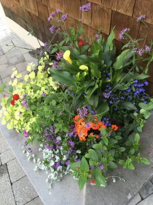 Pierce Hill Design, ltd. - Landscape Design in Chappaqua, NY