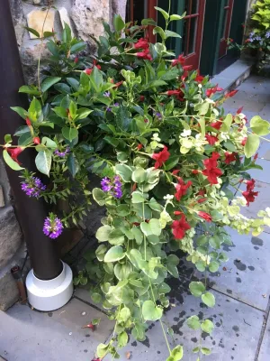Pierce Hill Design, ltd. - Landscape Design in Chappaqua, NY