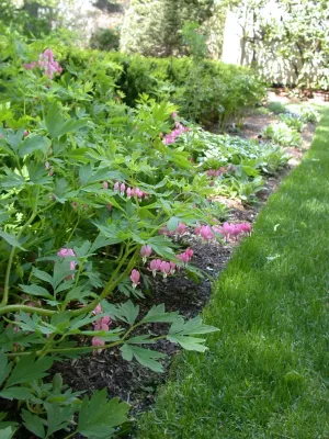 Pierce Hill Design, ltd. - Landscape Design in Chappaqua, NY
