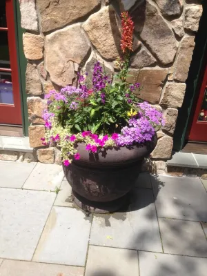 Summer containers — Landscape Design project by Pierce Hill Design, Ltd. in Pleasantville