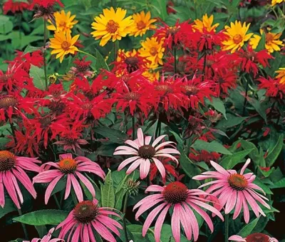 Pierce Hill Design, ltd. - Landscape Design in Chappaqua, NY
