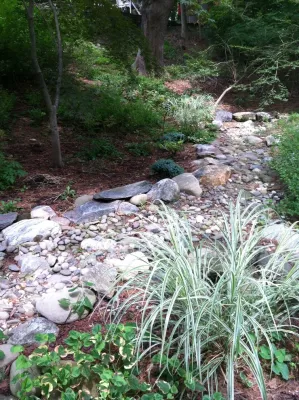 Dry Stream Garden — Landscape Design project by Pierce Hill Design, Ltd. in Pleasantville