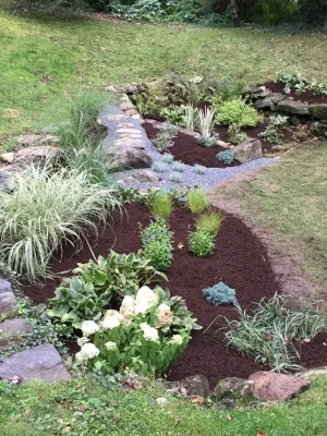 Raingarden — Landscape Design project by Pierce Hill Design, Ltd.