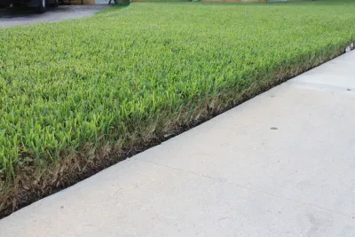 Pink and Green Lawn Care and Landscape - Lawn Edging & Trimming in Miramar, FL