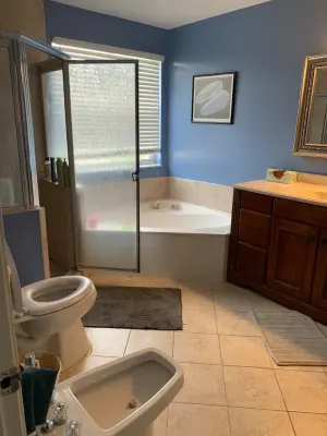 Opulent Main Bathroom by DL Flooring & Design