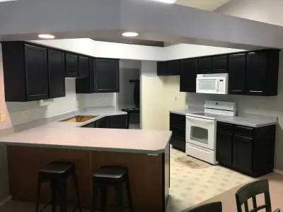 Black is Black is Black — Kitchen Remodeling project by PK's Fine Finishing & Painting