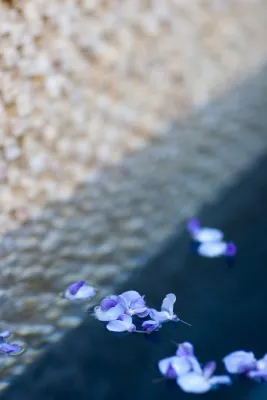Wisteria by Artisan Home Resorts