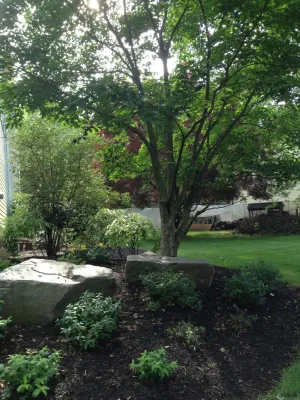 Stone Walkway & Complete Landscaping — Landscape Design project by PLANT Design Group
