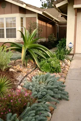 Plant Soup, Inc. - Landscape Design in Encinitas, CA