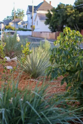 Plantkind - Patio Design & Installation in Oakland, CA
