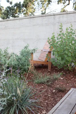 Plantkind - Patio Design & Installation in Oakland, CA