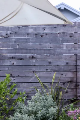 Plantkind - Patio Design & Installation in Oakland, CA