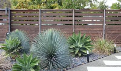 Plantkind - Patio Design & Installation in Oakland, CA