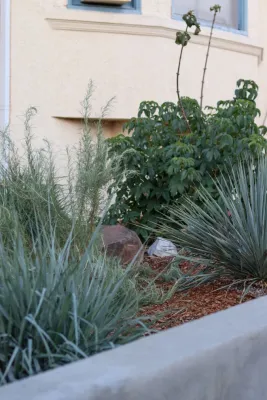 Plantkind - Patio Design & Installation in Oakland, CA