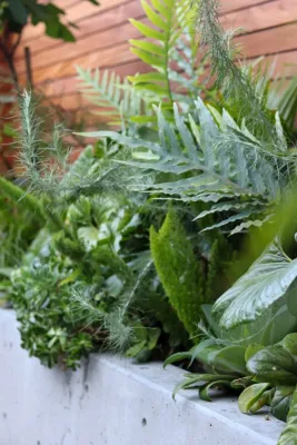 Plantkind - Patio Design & Installation in Oakland, CA