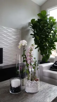 Plantopia INC - Tree Planting & Transplanting in Encinitas, CA