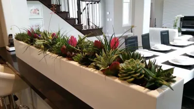 Plantopia INC - Tree Planting & Transplanting in Encinitas, CA