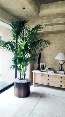 Plantscapers Inc - Landscape Design in Irvine, CA