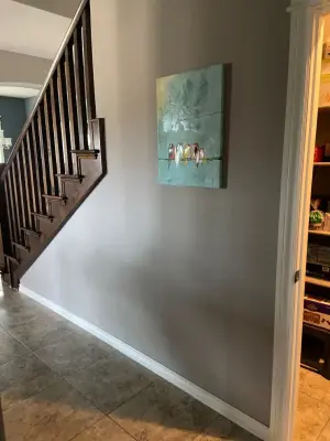 Bella's new canine space — Kitchen Remodeling project by Whimsical Construction Llc