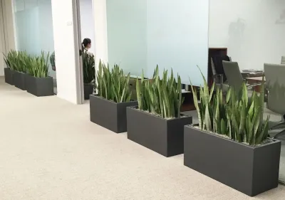 Plantscapers Inc - Landscape Design in Irvine, CA