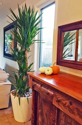 Plantscapers Inc - Landscape Design in Irvine, CA