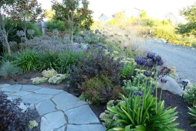 Borders by Plantswoman Design