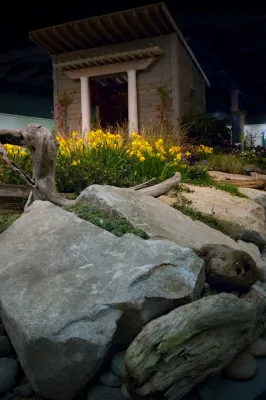 Plantswoman Design - Garden Remodeling in Bainbridge Island, WA