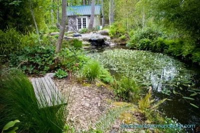 Rolling Bay by Plantswoman Design