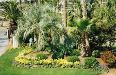 Landscape and Hardscape Curb Appeal Revamp For Beachfront Home — Landscape Design project by Pleasant Landscapes in Isle Of Palms