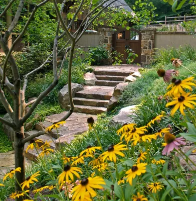 Plusen Landscape Architects - Patio Design & Installation in Catonsville, MD