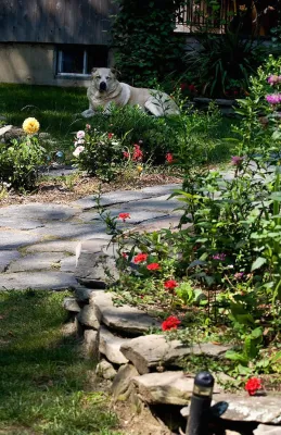 Portfolio — Landscape Design project by Ponds Of New England